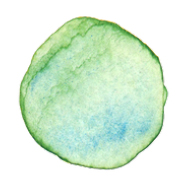Ernährung